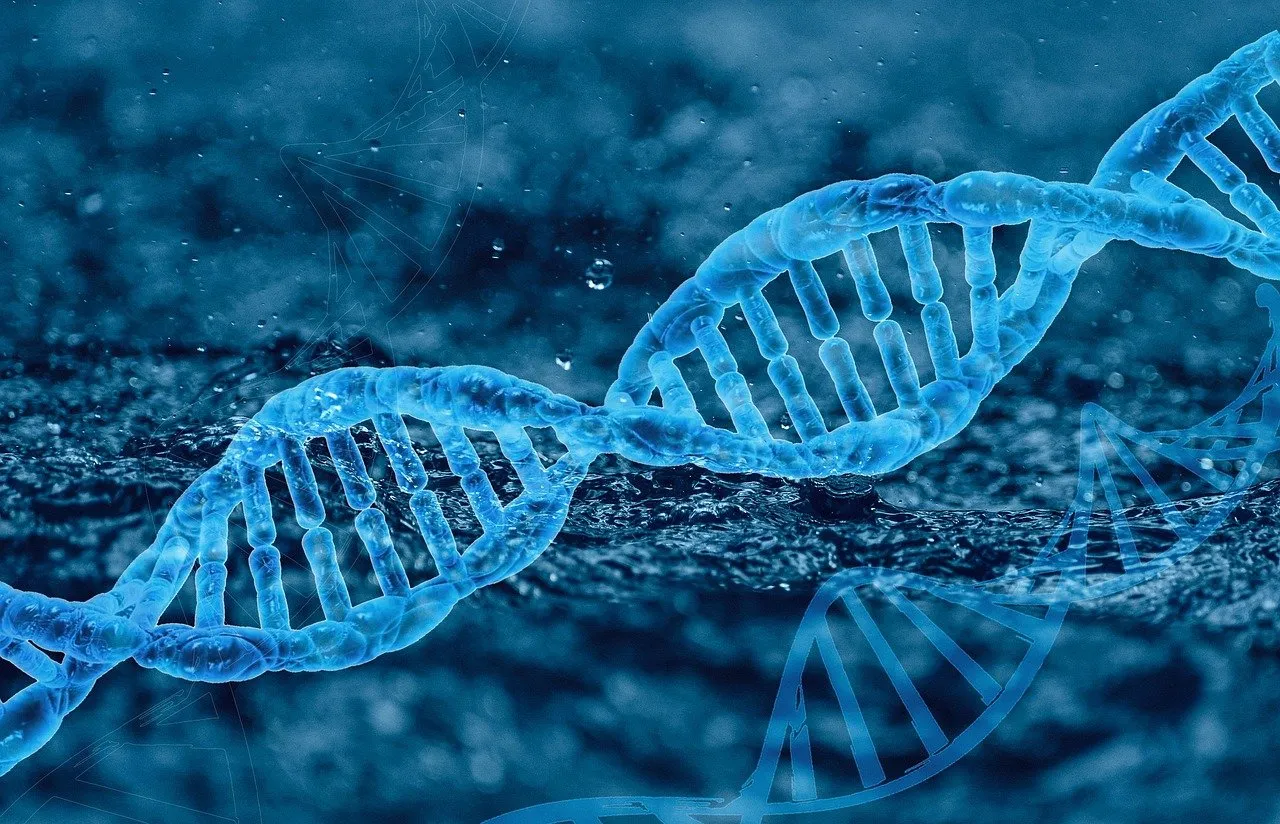 Read more about the article Unlocking the Secrets of Your DNA with 23andMe: A Comprehensive Guide