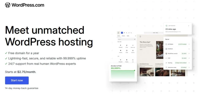Wordpress hosting image